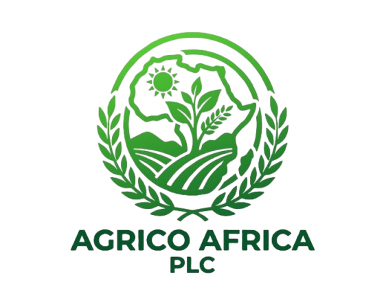 Client logo 40